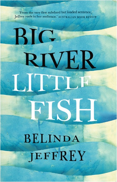 Big River Little Fish book cover