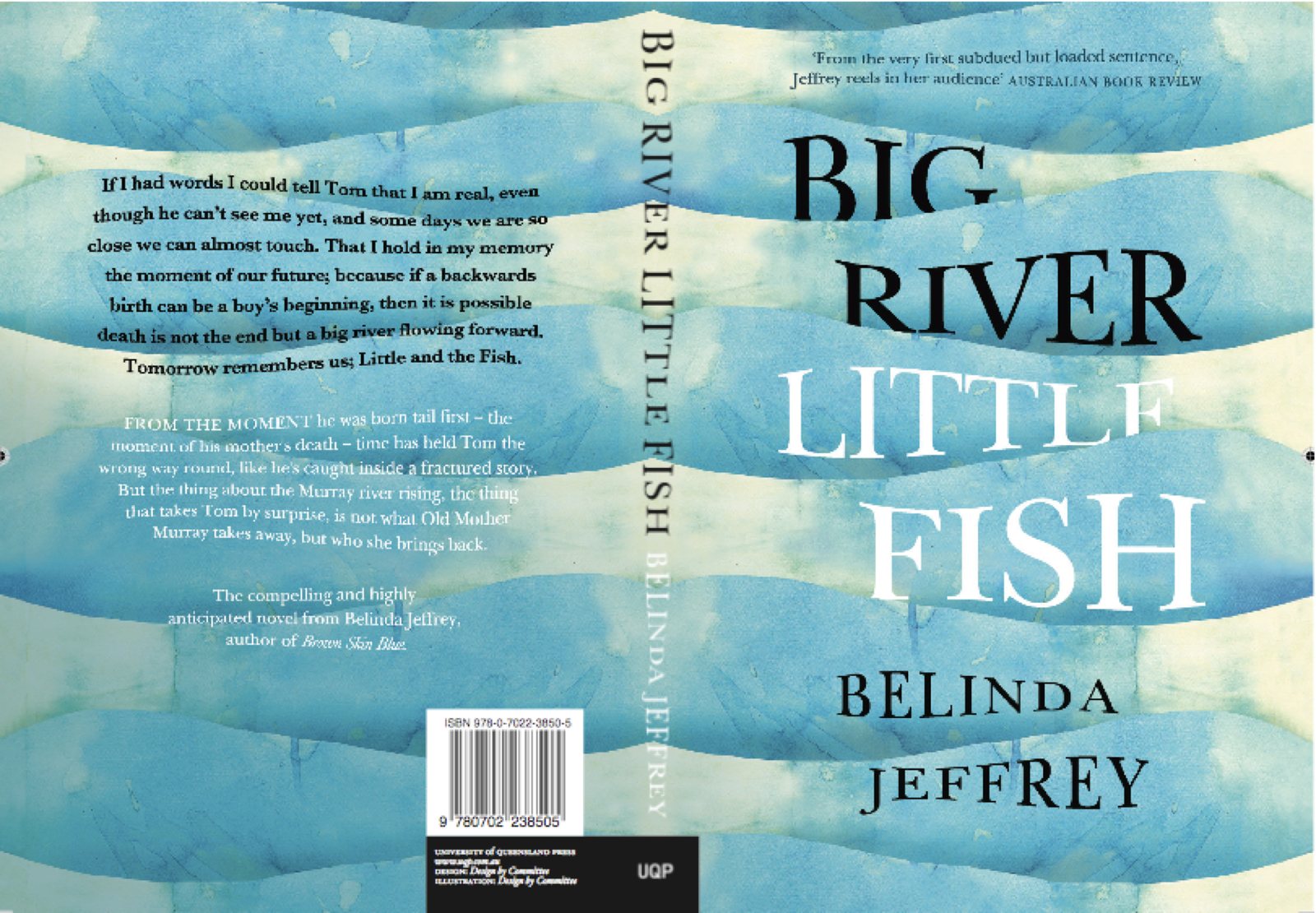 Big River Little Fish full cover