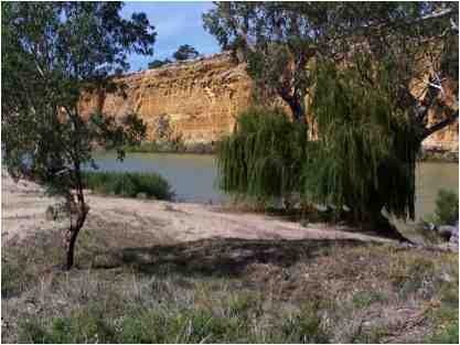 The Murray River at Swan Reach